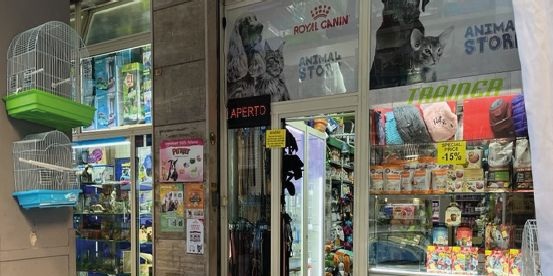 Animal Store