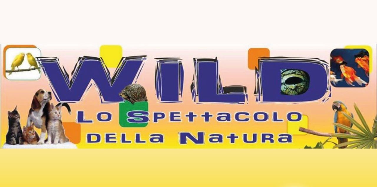 Wild Sas di Valle Daniele & C.